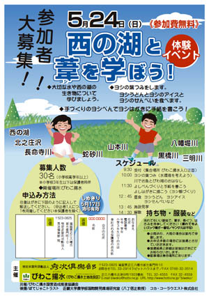 悵Cxg炵
